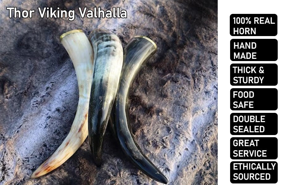 Thor Viking Valhalla Handcrafted 6-Inch Viking Drinking Horn with Stand for Ale & Beer Original Polished